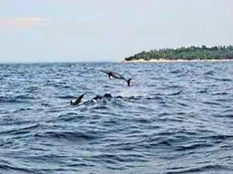 Pamilacan Island Tourist Inn And Restaurant Bohol Esterno foto